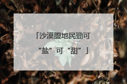 沙漠腹地民勤可“盐”可“甜”
