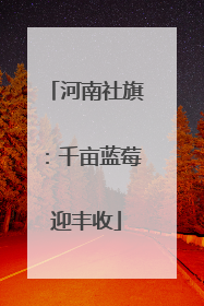 河南社旗：千亩蓝莓迎丰收