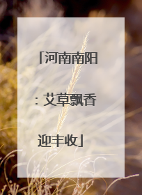 河南南阳：艾草飘香迎丰收