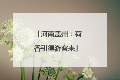 河南孟州：荷香引得游客来