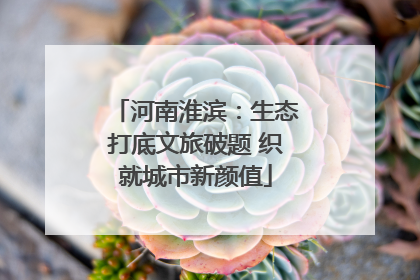 河南淮滨：生态打底文旅破题 织就城市新颜值