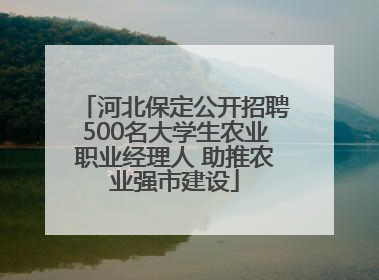 河北保定公开招聘500名大学生农业职业经理人 助推农业强市建设
