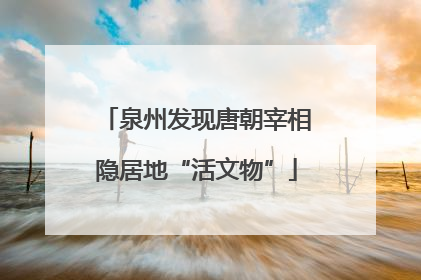 泉州发现唐朝宰相隐居地“活文物”