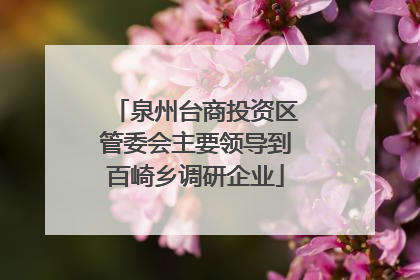泉州台商投资区管委会主要领导到百崎乡调研企业