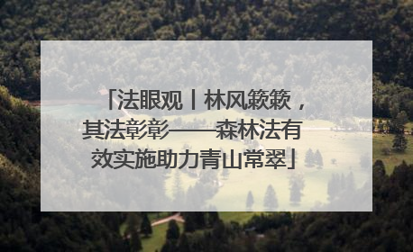 法眼观丨林风簌簌，其法彰彰——森林法有效实施助力青山常翠
