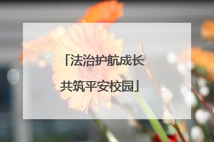 法治护航成长 共筑平安校园