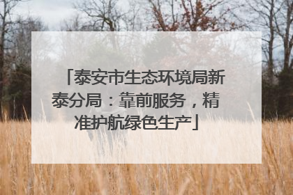 泰安市生态环境局新泰分局：靠前服务，精准护航绿色生产