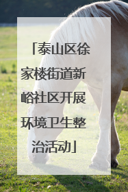 泰山区徐家楼街道新峪社区开展环境卫生整治活动