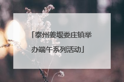 泰州姜堰娄庄镇举办端午系列活动