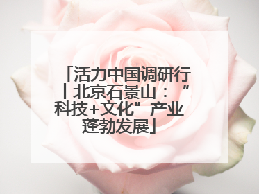 活力中国调研行丨北京石景山：“科技+文化”产业蓬勃发展