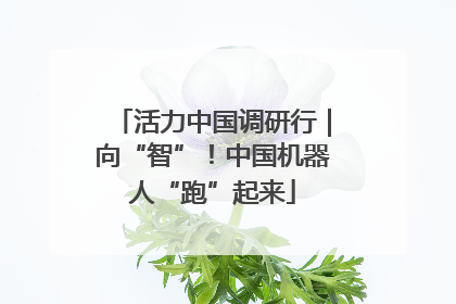 活力中国调研行｜向“智”！中国机器人“跑”起来