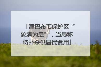 津巴布韦保护区“象满为患”，当局称将扑杀供居民食用