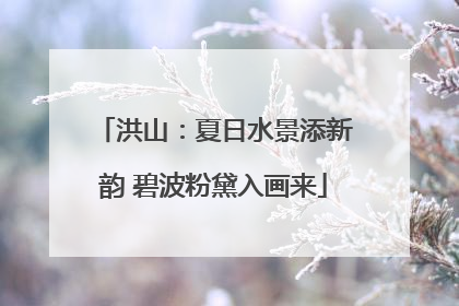 洪山：夏日水景添新韵 碧波粉黛入画来