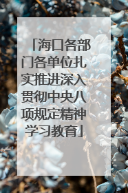 海口各部门各单位扎实推进深入贯彻中央八项规定精神学习教育