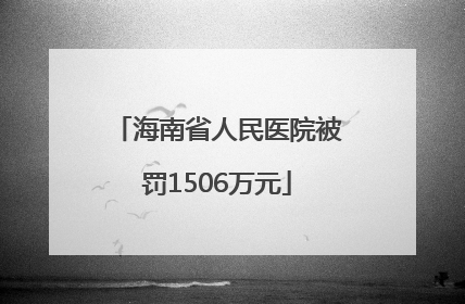 海南省人民医院被罚1506万元