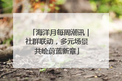 海洋月每周潮讯｜社群联动，多元场景共绘蔚蓝新章