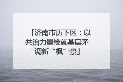 济南市历下区：以共治力量绘就基层矛调新“枫”景