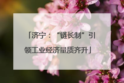 济宁：“链长制”引领工业经济量质齐升