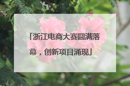 浙江电商大赛圆满落幕，创新项目涌现