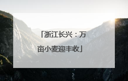 浙江长兴：万亩小麦迎丰收