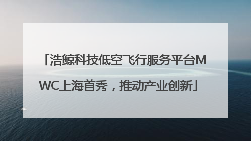浩鲸科技低空飞行服务平台MWC上海首秀，推动产业创新