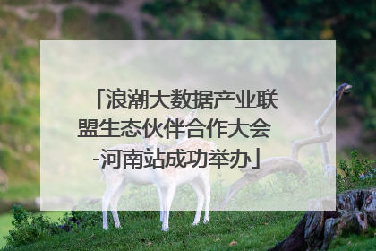 浪潮大数据产业联盟生态伙伴合作大会-河南站成功举办