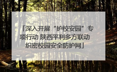 深入开展“护校安园”专项行动 陕西平利多方联动织密校园安全防护网