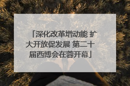 深化改革增动能 扩大开放促发展 第二十届西博会在蓉开幕