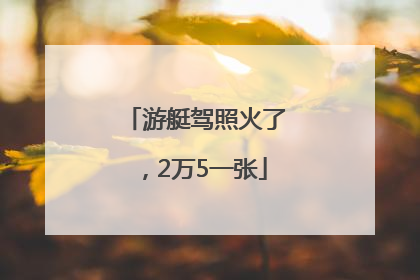 游艇驾照火了，2万5一张