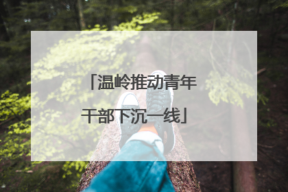 温岭推动青年干部下沉一线