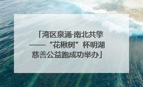 湾区泉涌·南北共擎——“花楸树”杯明湖慈善公益跑成功举办