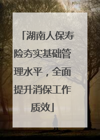 湖南人保寿险夯实基础管理水平，全面提升消保工作质效