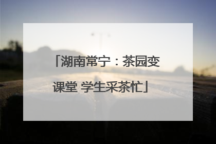 湖南常宁：茶园变课堂 学生采茶忙