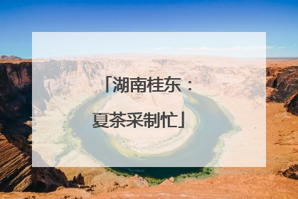 湖南桂东：夏茶采制忙