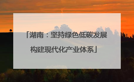 湖南：坚持绿色低碳发展 构建现代化产业体系