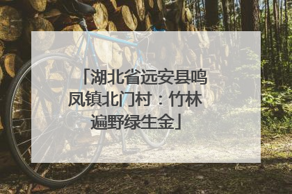 湖北省远安县鸣凤镇北门村：竹林遍野绿生金