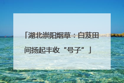 湖北崇阳烟草：白芨田间扬起丰收“号子”