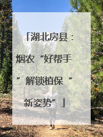 湖北房县：烟农“好帮手”解锁植保“新姿势”