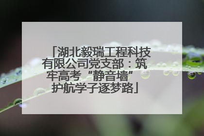 湖北毅瑞工程科技有限公司党支部：筑牢高考“静音墙” 护航学子逐梦路