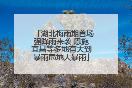 湖北梅雨期首场强降雨来袭 恩施宜昌等多地有大到暴雨局地大暴雨