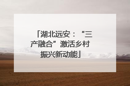 湖北远安：“三产融合”激活乡村振兴新动能