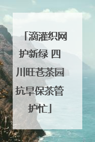 滴灌织网护新绿 四川旺苍茶园抗旱保茶管护忙