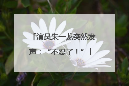 演员朱一龙突然发声：“不忍了！”