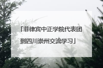 菲律宾中正学院代表团到四川崇州交流学习