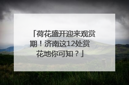 荷花盛开迎来观赏期！济南这12处赏花地你可知？