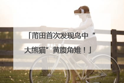 莆田首次发现鸟中“大熊猫”黄腹角雉！
