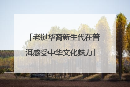 老挝华裔新生代在普洱感受中华文化魅力