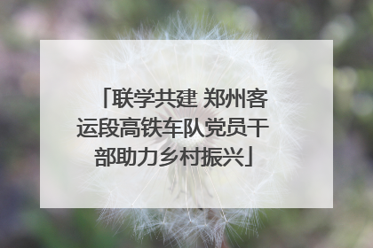联学共建 郑州客运段高铁车队党员干部助力乡村振兴