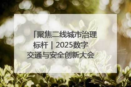 聚焦二线城市治理标杆｜2025数字交通与安全创新大会在保定隆重开幕