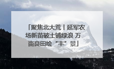 聚焦北大荒丨延军农场新苗破土铺绿浪 万亩良田绘“丰”景